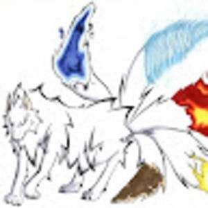 Meet your Posher, Bill